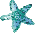 Zahnspangel Ingelheim Logo